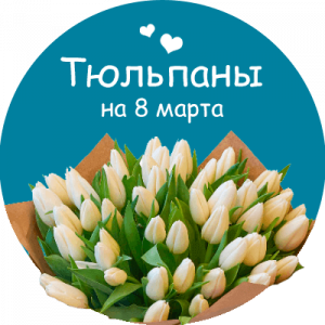Купить тюльпаны в Егорьевске